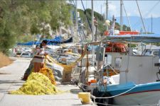 07 PAXOS.jpg