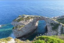 11 PAXOS.jpg